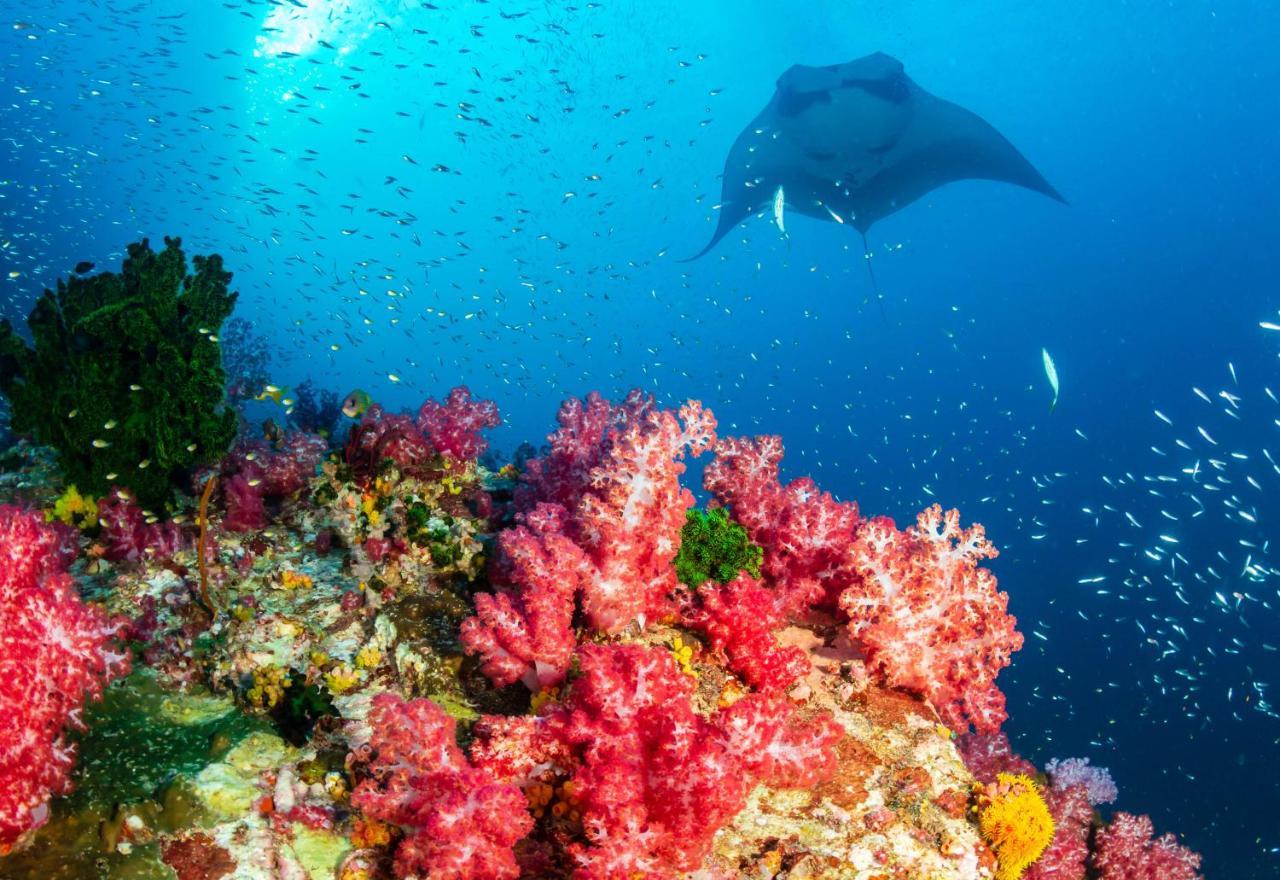 Ayana Komodo Waecicu Beach Labuan Bajo Kültér fotó