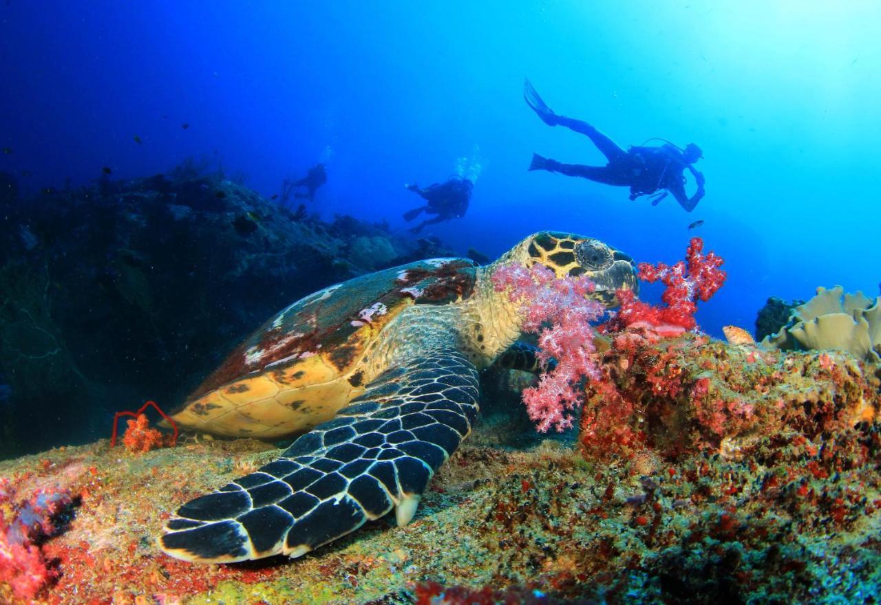 Ayana Komodo Waecicu Beach Labuan Bajo Kültér fotó